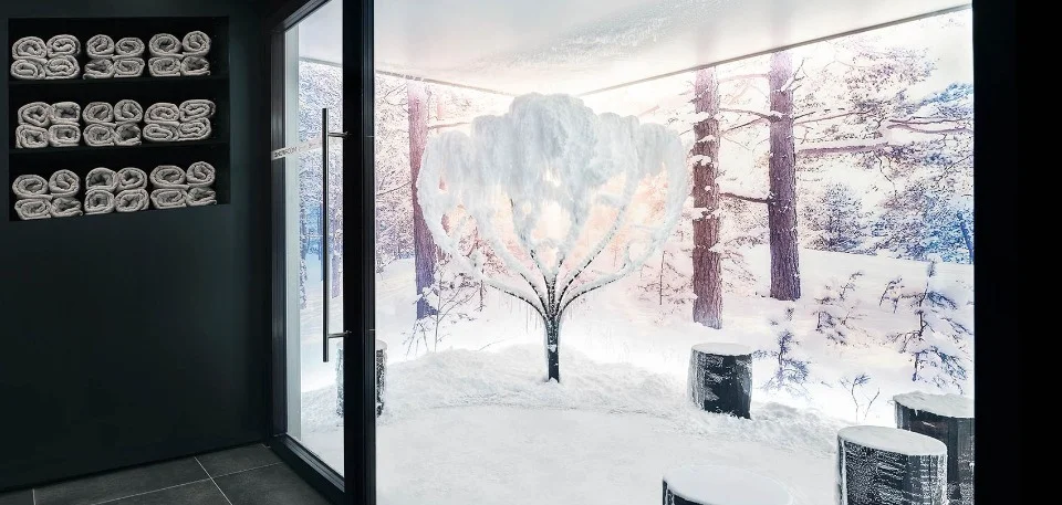 Snow room with snow-covered tree, winter forest mural and tree-stump seats behind a glass door